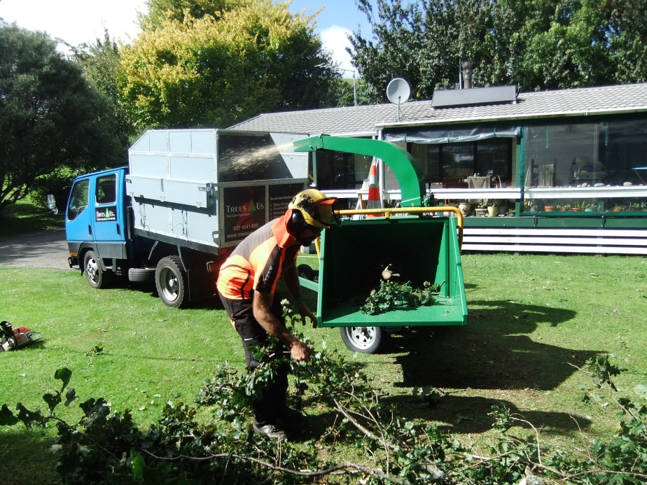 C27 Hansa chipper in action chipping a large Quercus robur (English Oak) tree.