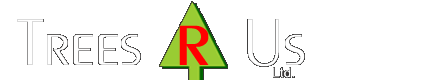 Trees R Us